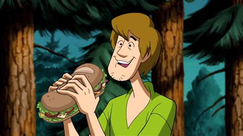 shaggy cartoon|11 Facts About Norville “Shaggy” Rogers (Scooby.